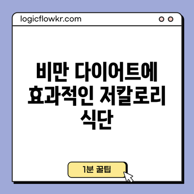 비만 다이어트에 효과적인 저칼로리 식단