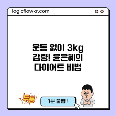 운동 없이 3kg 감량! 윤은혜의 다이어트 비법