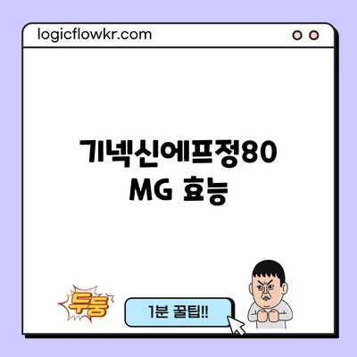 기넥신에프정80MG: 효능