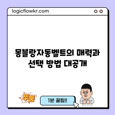 몽블랑자동벨트의 매력과 선택 방법 대공개