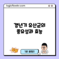 갱년기 유산균의 중요성과 효능