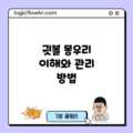귓볼 몽우리 이해와 관리 방법