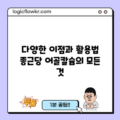 다양한 이점과 활용법: 종근당 어골칼슘의 모든 것
