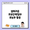 셀트리온 초유단백질의 효능과 활용