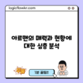 아르맨의 매력과 현황에 대한 심층 분석