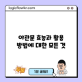 야관문: 효능과 활용 방법에 대한 모든 것