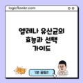 엘레나 유산균의 효능과 선택 가이드