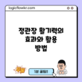 정관장 활기력의 효과와 활용 방법