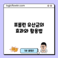 프롤린 유산균의 효과와 활용법