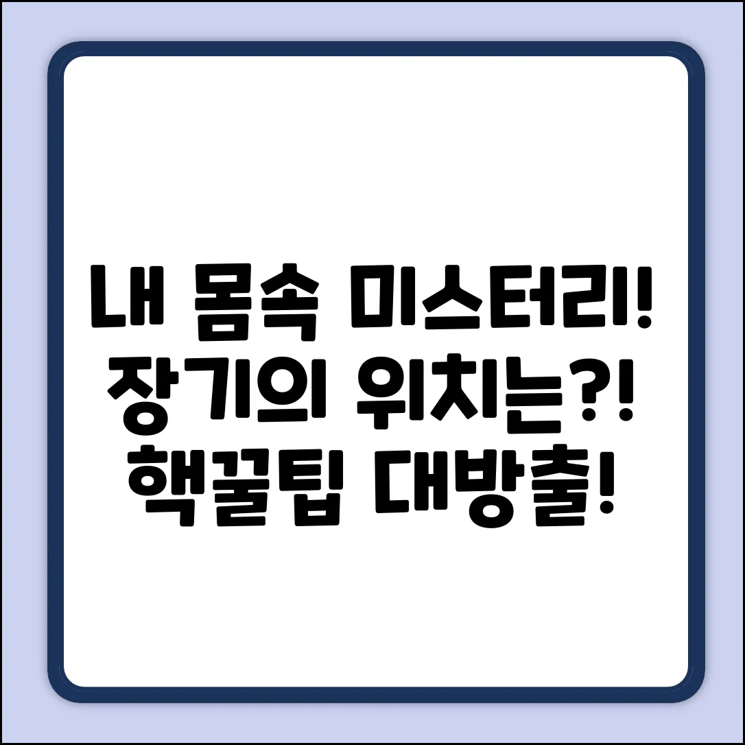 내 몸속 미스터리! 내장기관은 어디에?