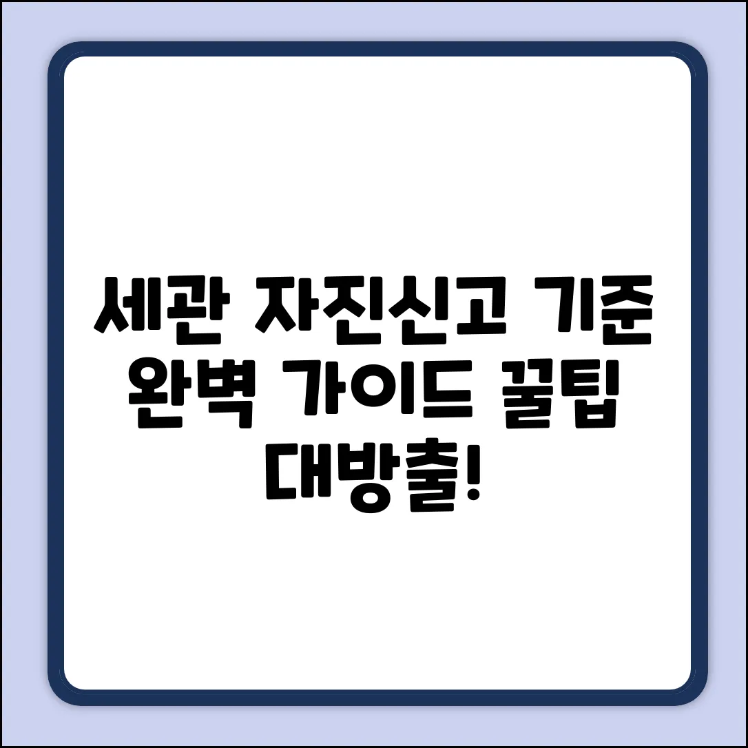 세관 자진 신고 기준 완벽 가이드