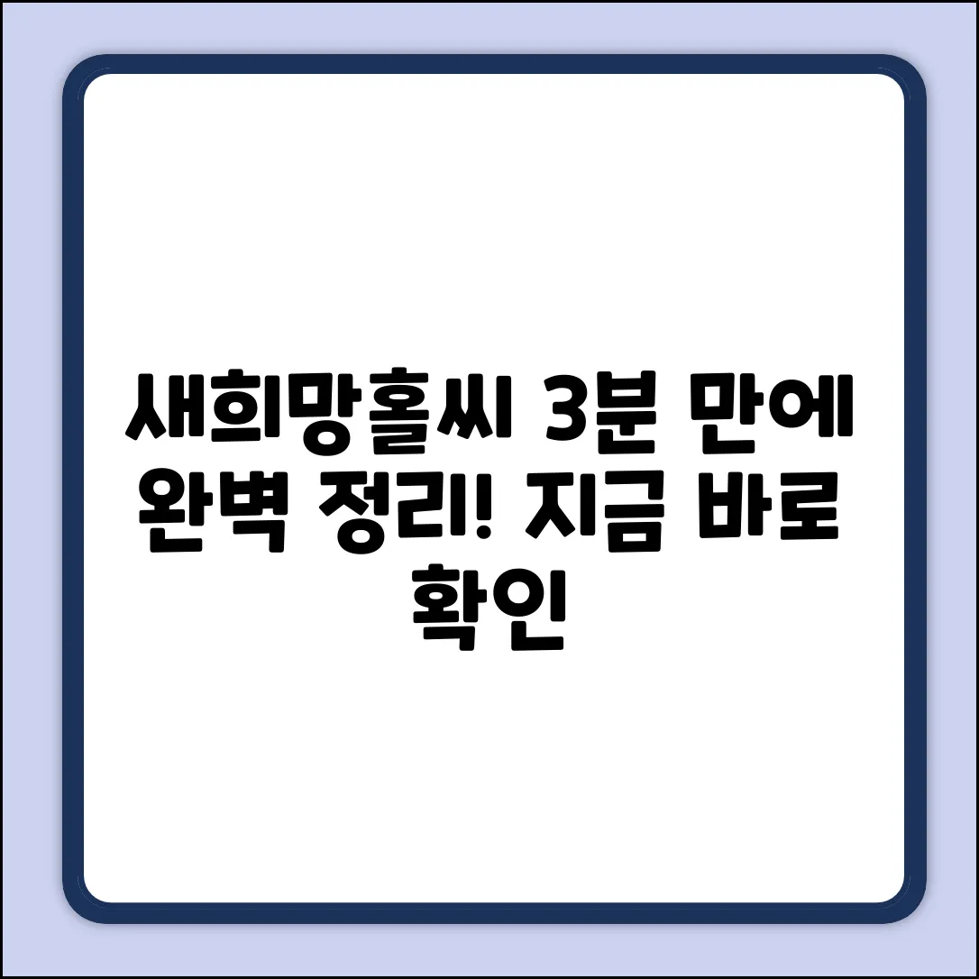 새희망홀씨대출 궁금증? 3분 완벽 해결!