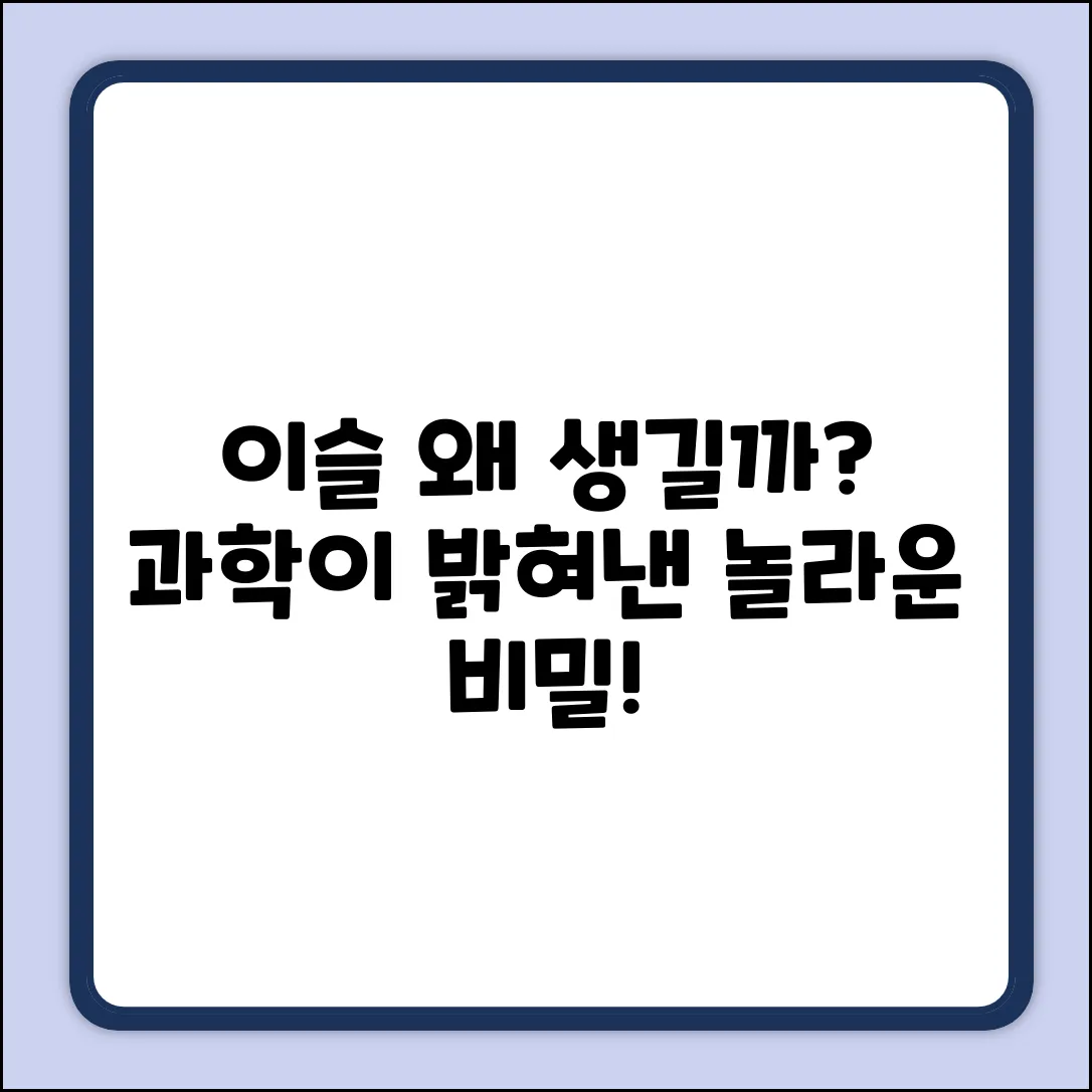 이슬이 생기는 까닭, 과학이 밝힌 놀라운 비밀!