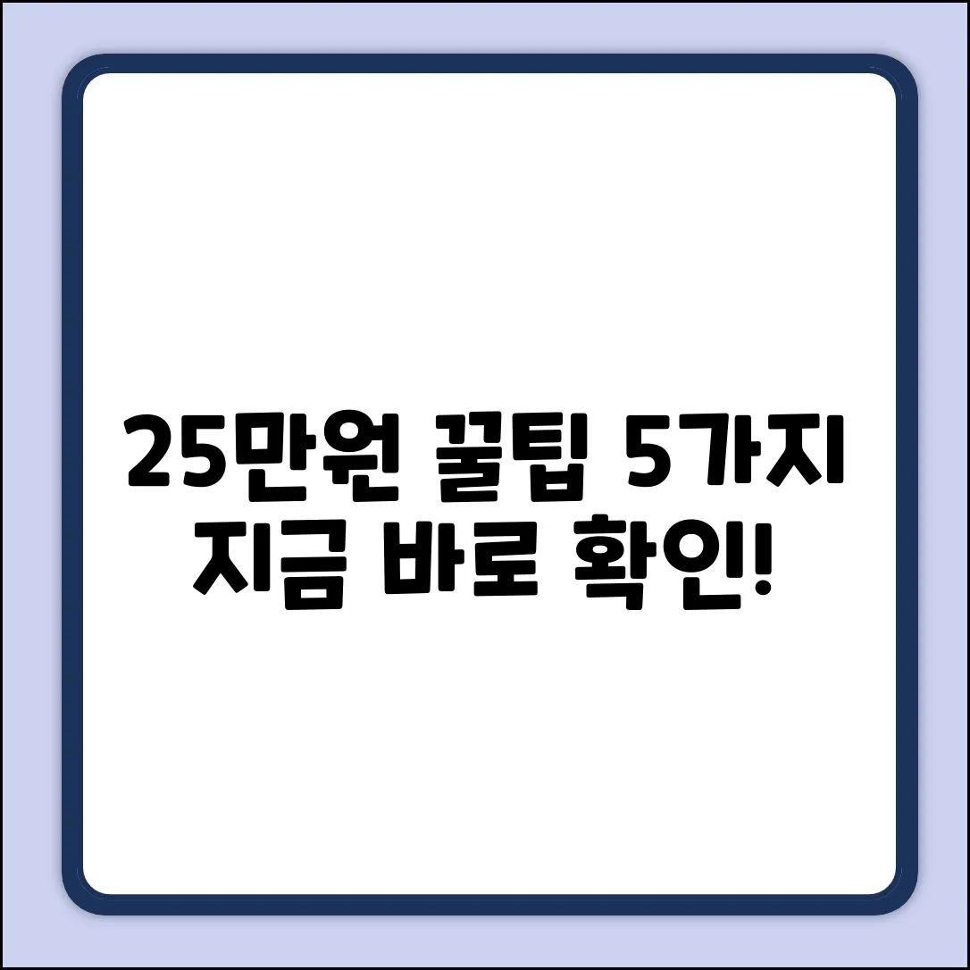 민생지원금 25만원: 5가지 활용 꿀팁