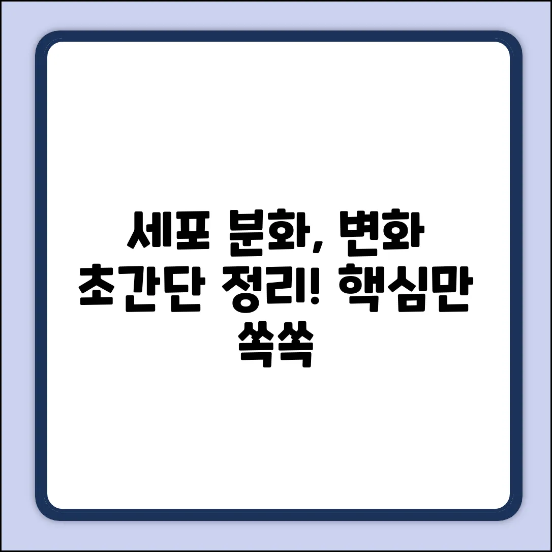세포 분화 변화, 초보자도 쉽게 이해!