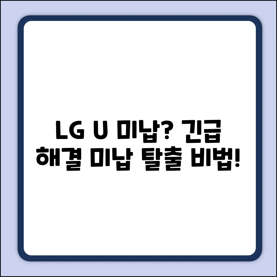 LGU+ 미납, 해결 방법 있을까요?