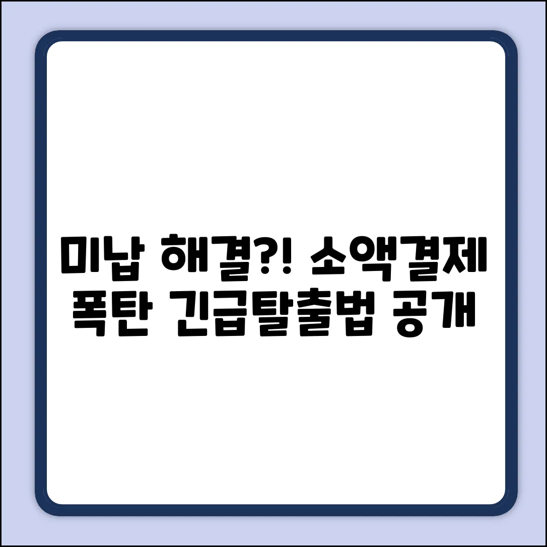 다날정책소액결제 미납, 해결책이?!