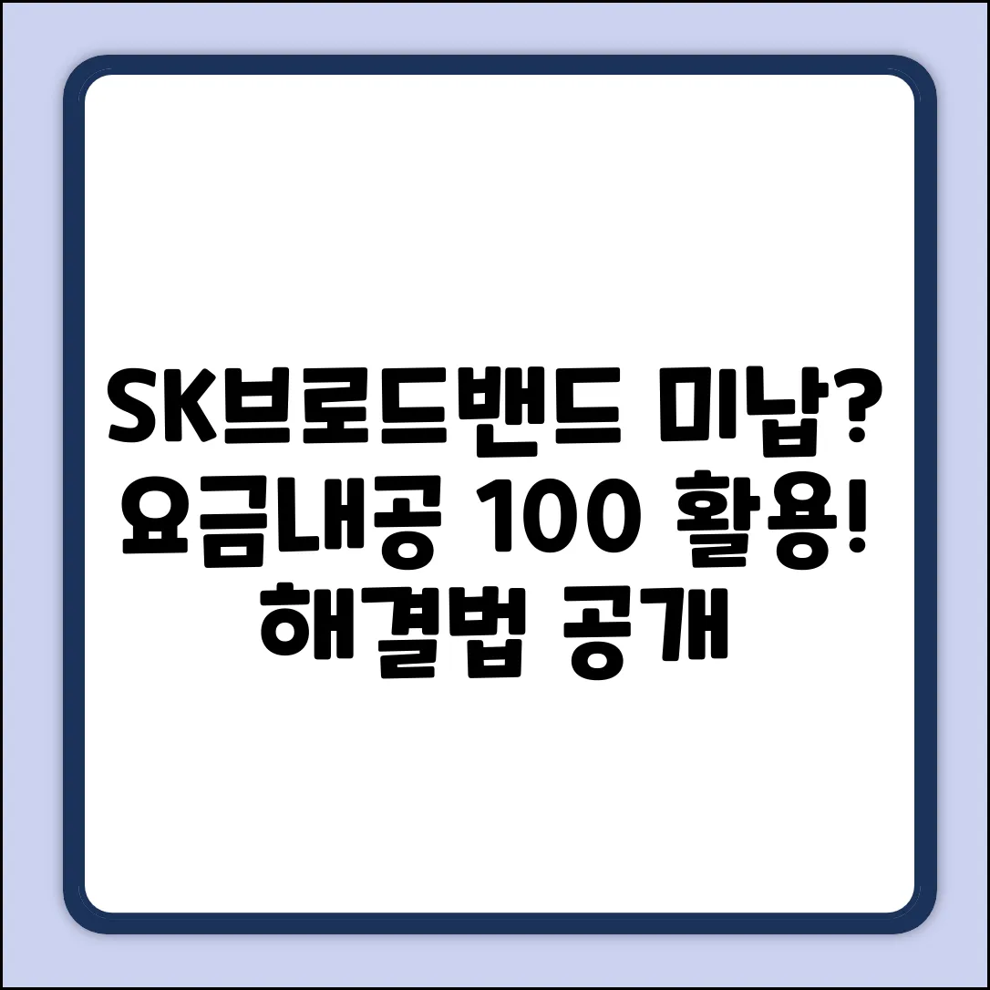 SK브로드밴드 통신미납, 요금내공 100으로 해결될까?