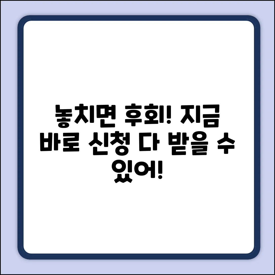다받을수있고 접수는 언제? 놓치면 후회!
