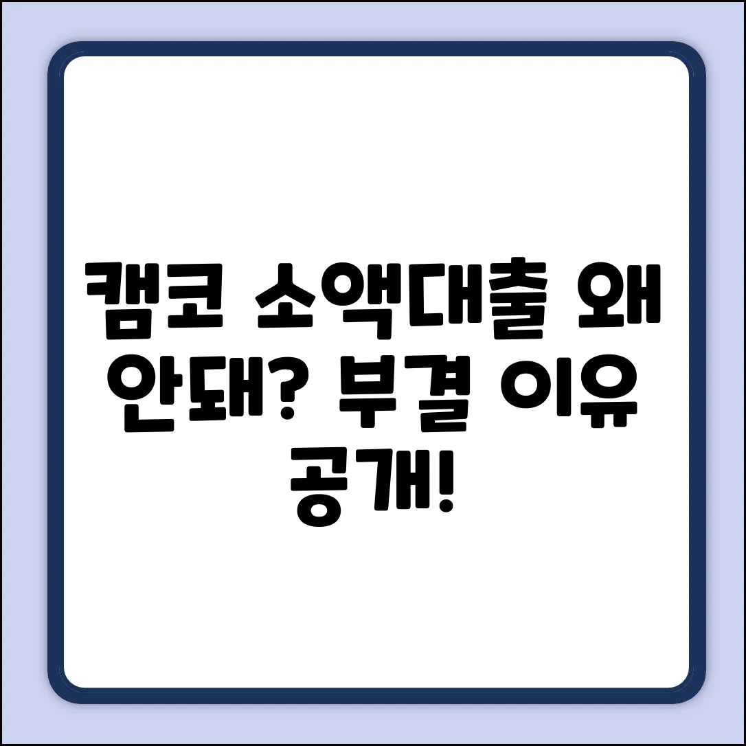캠코 소액대출, 왜 부결될까요?