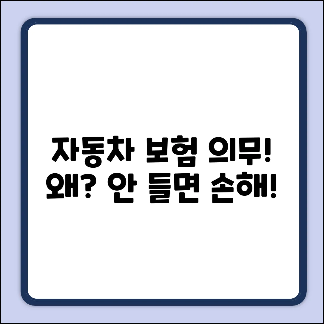 자동차 의무보험, 왜 꼭 들어야 할까?