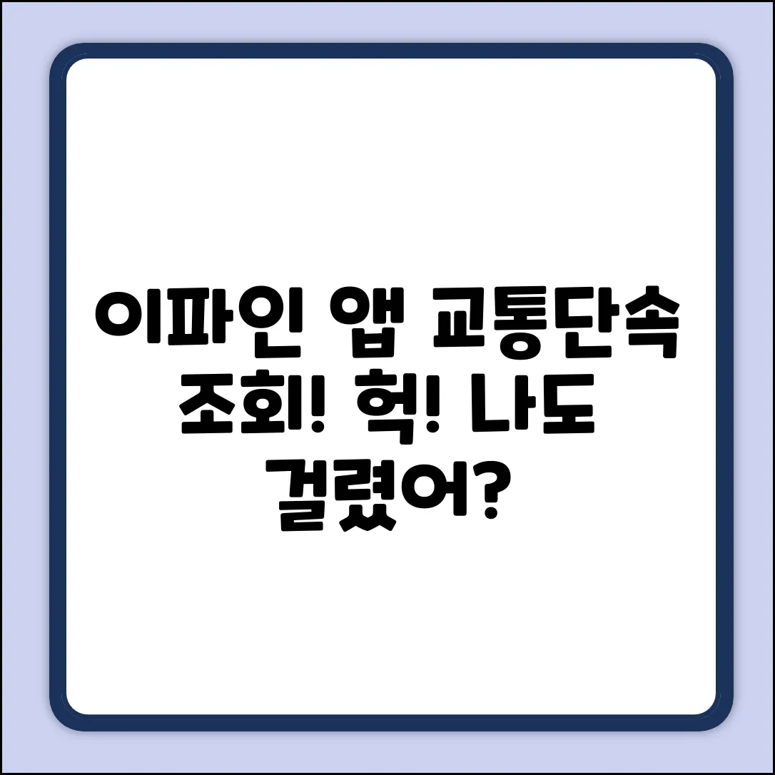 이파인 앱, 교통단속 정보 확인하고 깜짝!