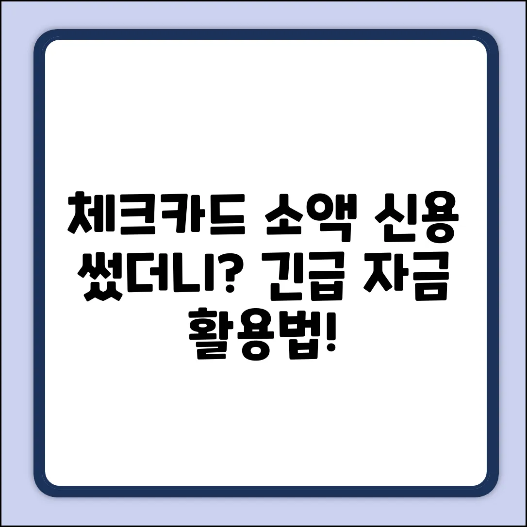 체크카드 소액신용한도, 혹시 써봤니?