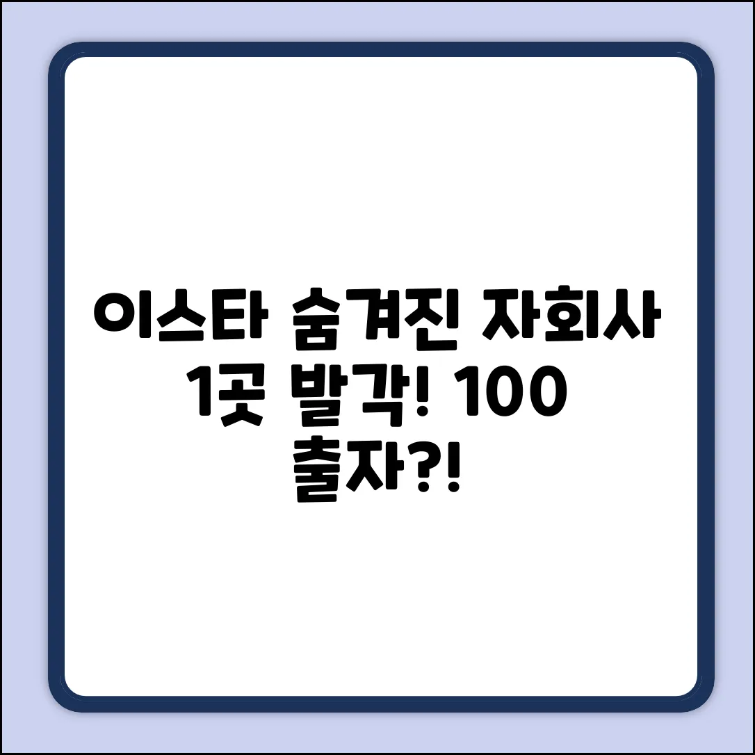 이스타 자회사, 숨겨진 1곳! 100% 출자?