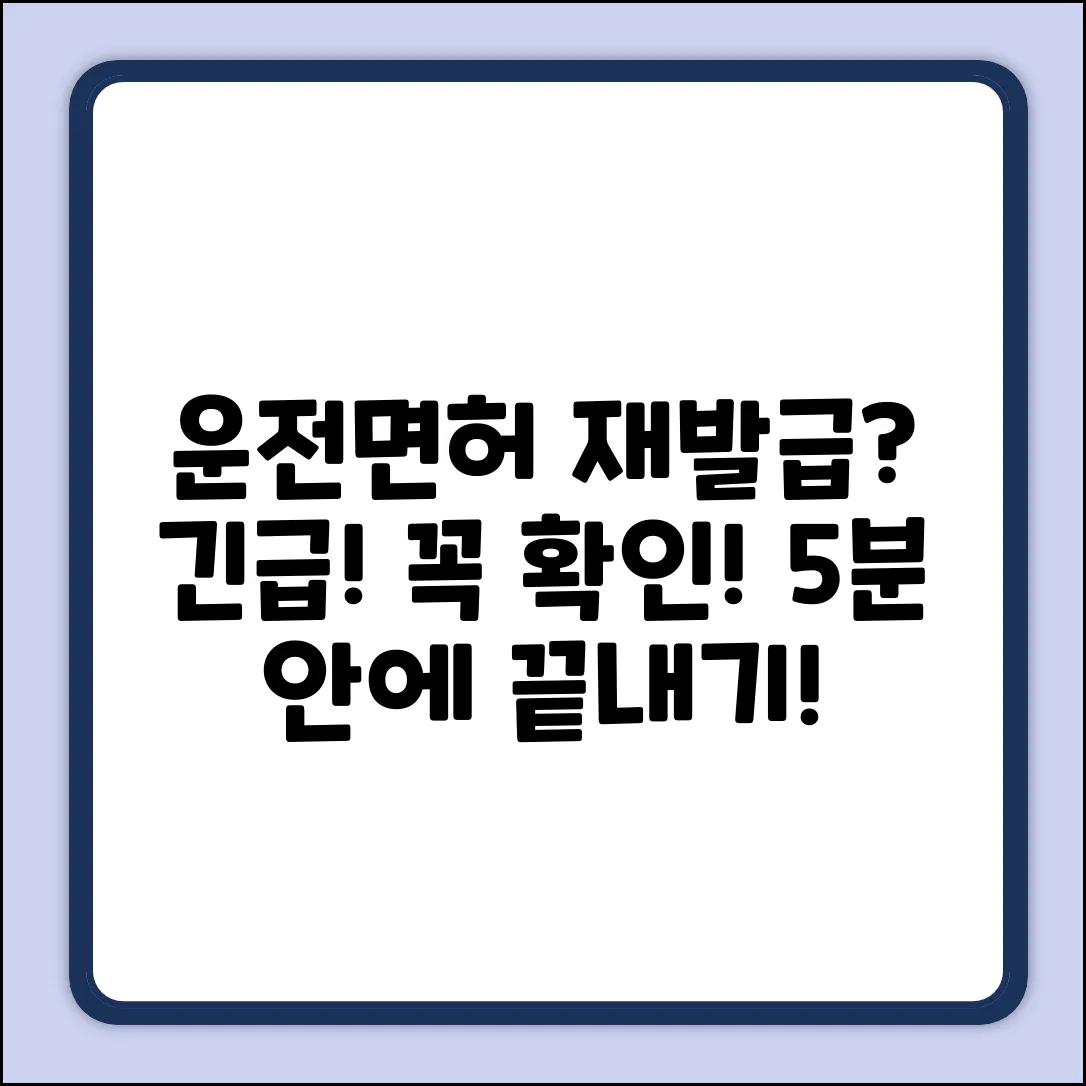 운전면허증 재발급? 긴급 확인!