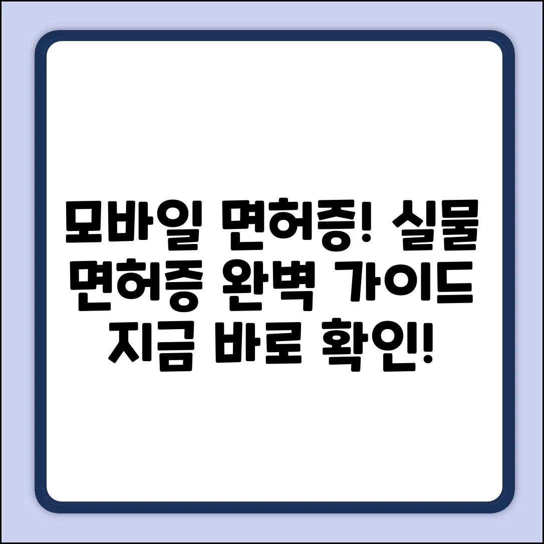 모바일 운전면허증 탑재! 실물 면허증 완벽 가이드