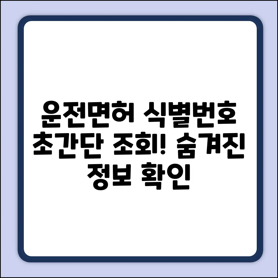 운전면허 식별번호 조회 완벽 가이드