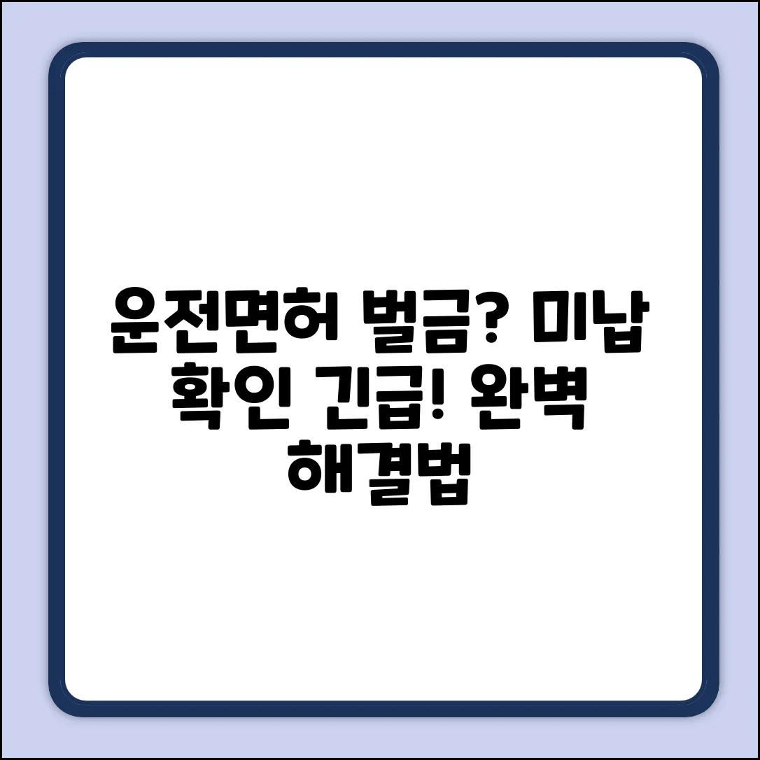 운전면허 미납 벌금 완벽 확인 가이드