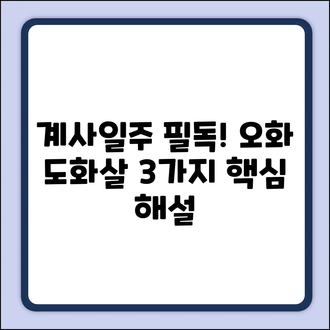 계사일주, 오화 도화살? 3가지 핵심 해설
