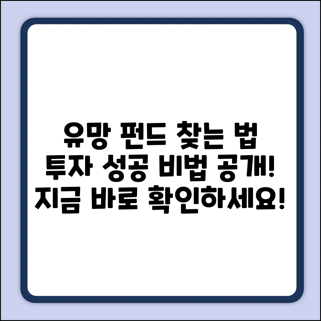 유망 펀드 선택 완벽 가이드: 투자 성공 비법