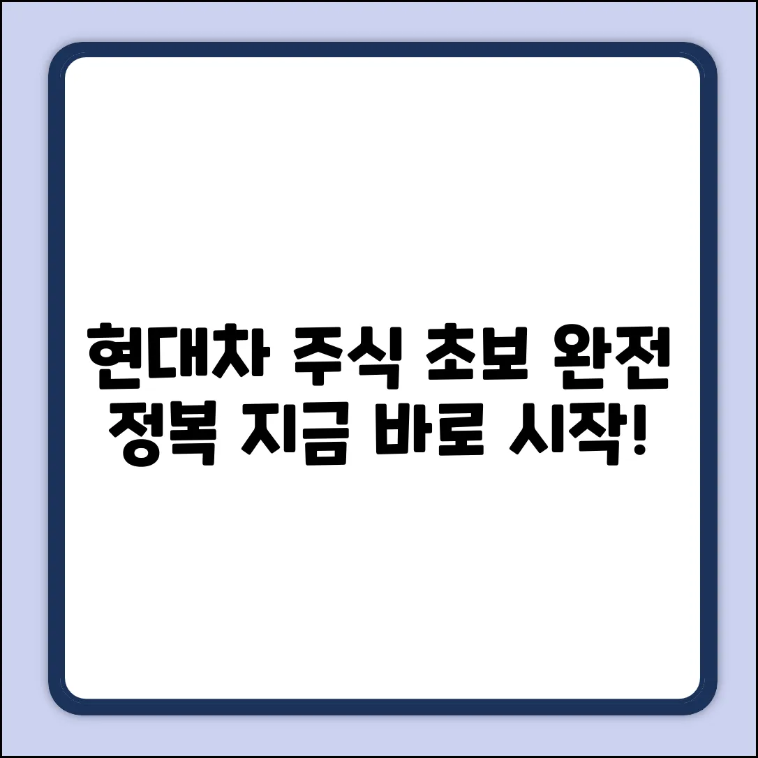 초보도 쉽게! 현대차 주식 시세 완전 정복