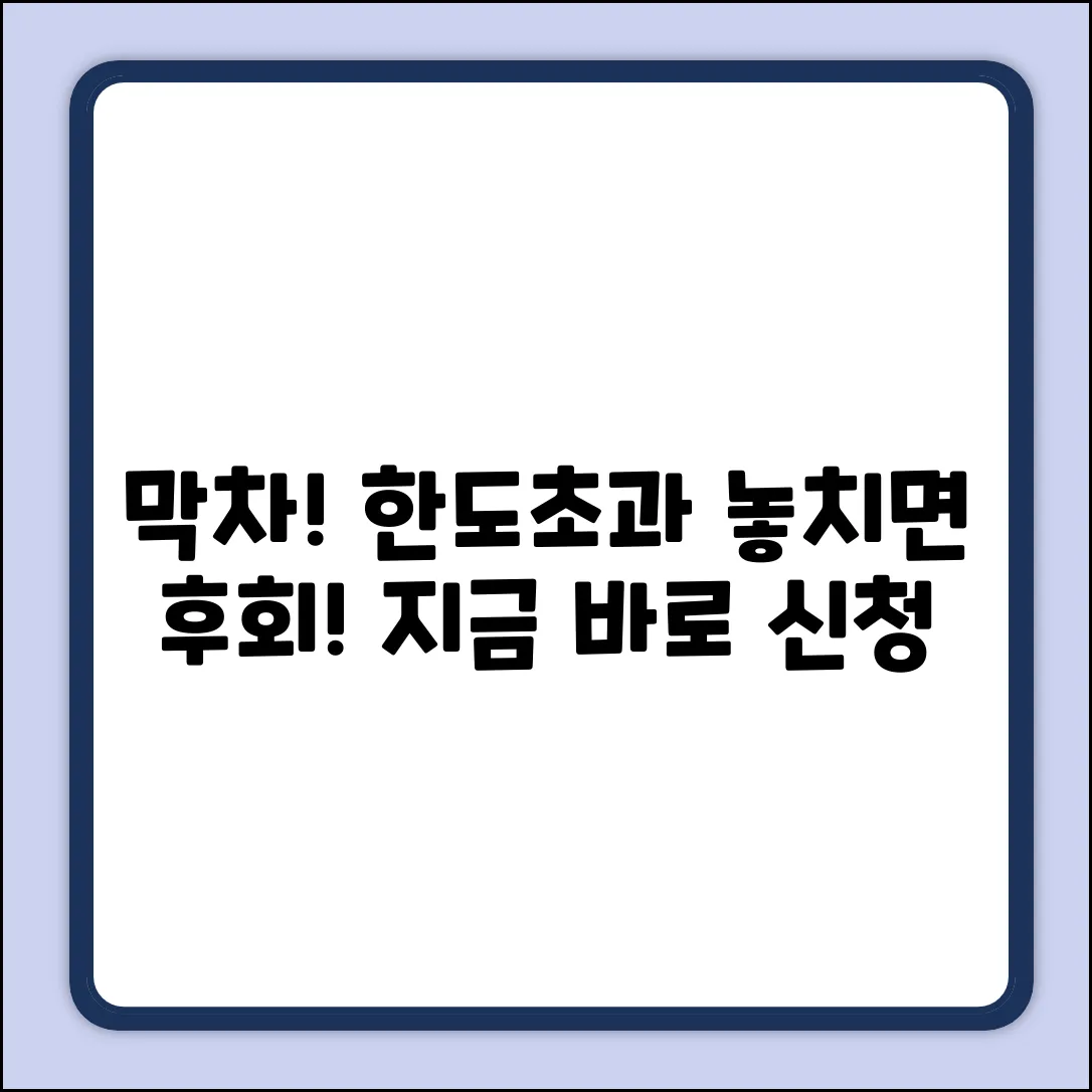 🚨 한도초과대출, 마지막 기회 잡으세요!