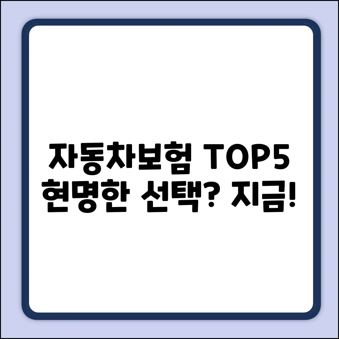 자동차보험 순위 TOP 5! 현명한 선택