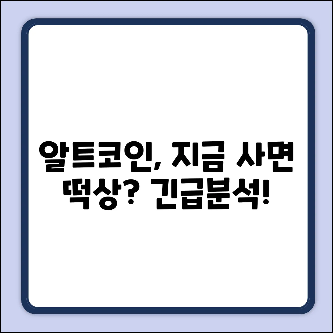 알트코인, 지금 투자해도 괜찮을까?
