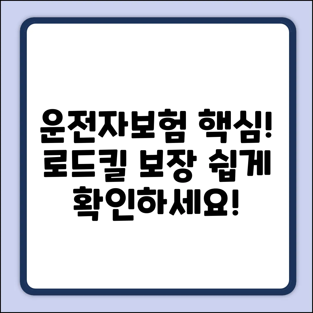 운전자보험, 로드킬 보장 쉽게 확인!