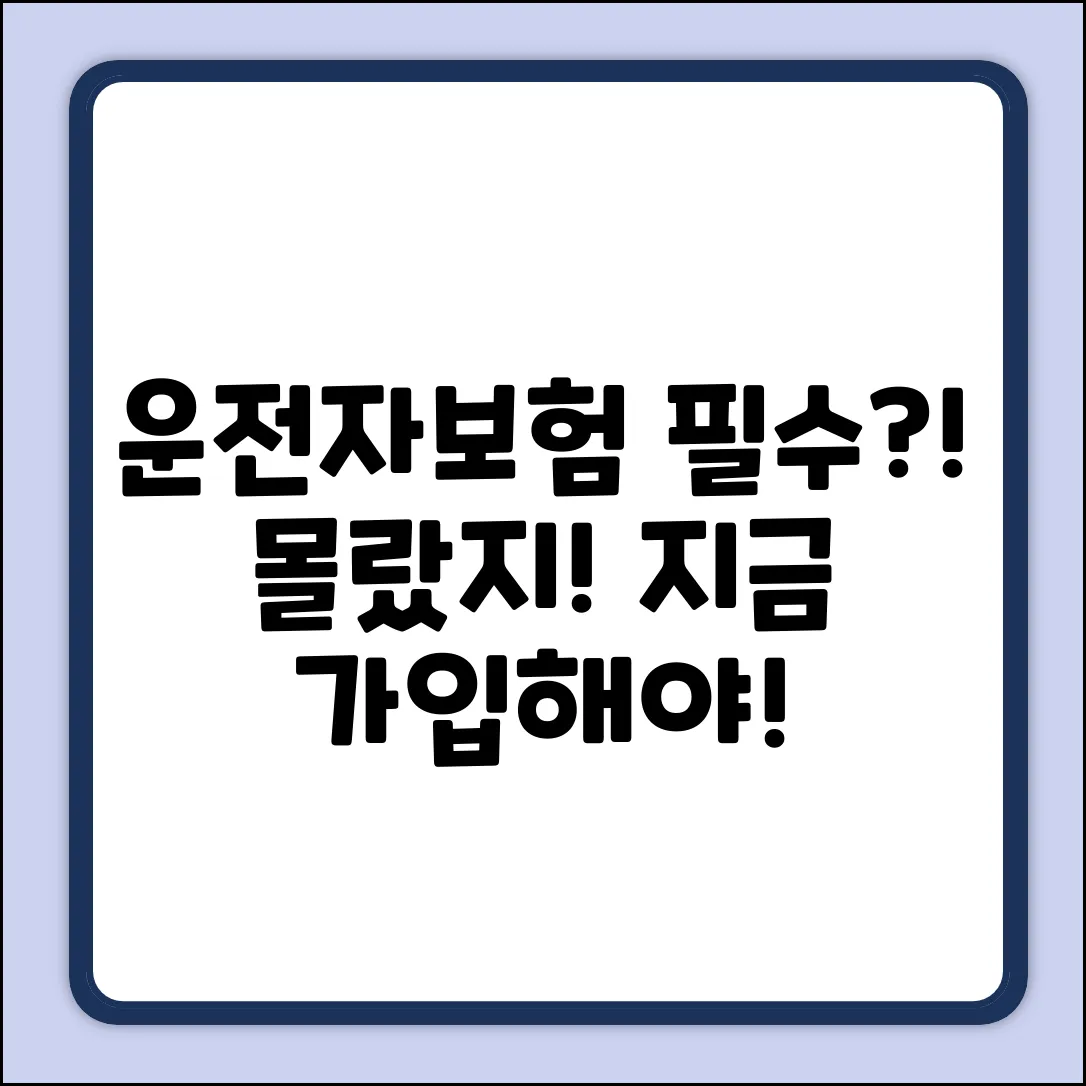 운전자보험, 필수가 될 줄 몰랐네!
