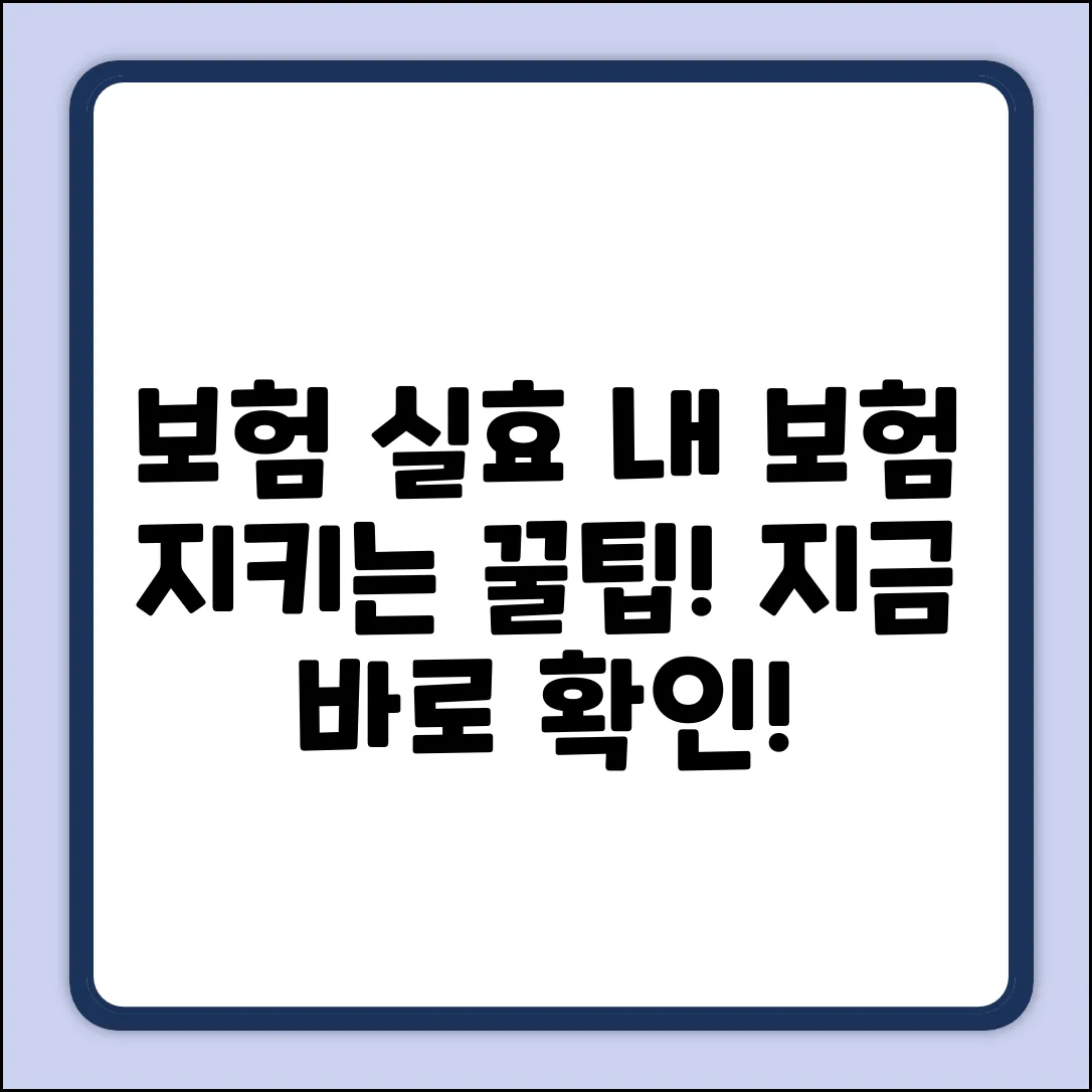 보험 실효, 누구나 쉽게! 내 보험 지키는 법