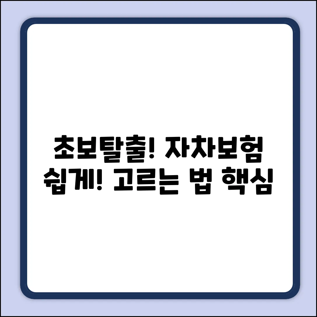 초보도 OK! 자동차보험 자차 쉽게 고르는 법